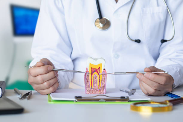 Best Emergency Dentist for Knocked-Out Tooth in Kingsford, MI